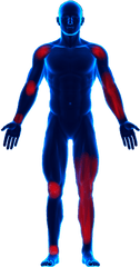 Download Hd Sore Muscle Png - Muscle Sore Png