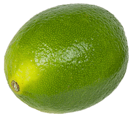 Download Hd Lime Lemon - Portable Network Graphics Png