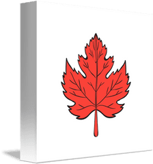 Maple Drawing - Maple Leaf Png