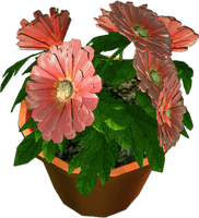 Front Pot Flower View PNG Download Free