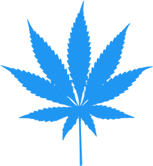 Download Hd Png - Dark Green Weed Leaf Transparent Cannabis Png