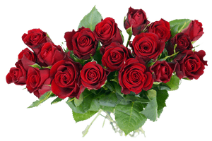 Bouquet Fresh Rose Free HD Image - Free PNG