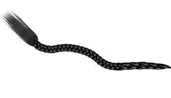 Photos Black Braids Free Download PNG HQ