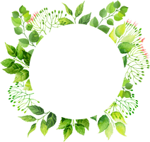 Floral Frame Green Download HQ - Free PNG