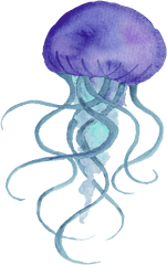 Purple Hand Painted Jellyfish Cartoon - Purple Jellyfish Transparent Background Png