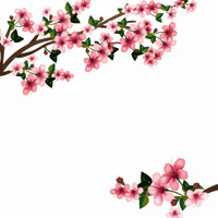 Japanese Flowering Cherry Image HD Image Free PNG