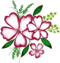 Watercolour Watercolor Flower - Free Image On Pixabay Gilliflower Png