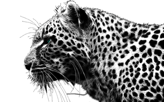 Cheetah Free Download Png