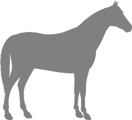 Jutland Horse - Horse Grey Icon Transparent Png