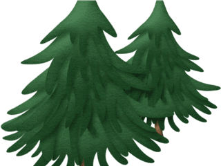 Download Fir Tree Clipart Cypress - Sapin Clipart Png Image Transparent Pine Tree Clipart