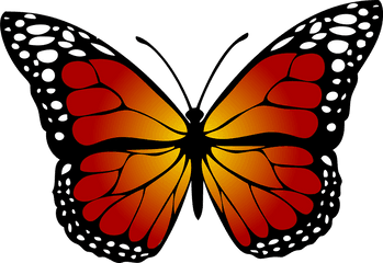 Monarch Butterfly Png Transparent 2 - Monarch Butterfly Clipart