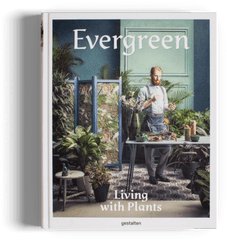 Evergreen - Evergreen Living With Plants Png