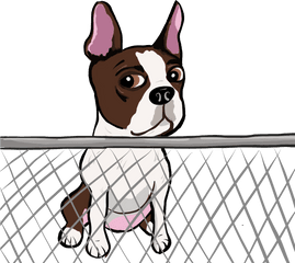 Cute Dogs Pictures - Clip Art Png