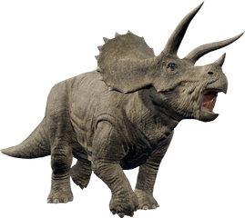 Triceratops - Jurassic World Triceratops Dinosaurios Png