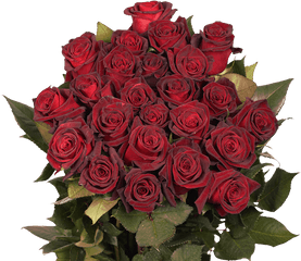 Baccara Black Roses - Lovely Png