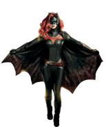 Batgirl Barbara Gordon PNG File HD