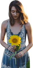 Sunflower Transparent Background Png - Png Girl