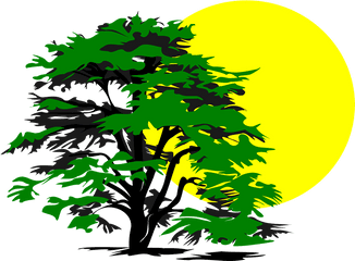 Tree Sun Glow - Cedar Tree Clip Art Png