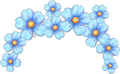 Top Ten Flower Emoji Png Tumblr Crown Transparent