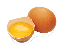 Cracked Egg Png Image