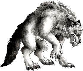 Werewolf Drawing Transparent Png - Werewolf Drawing