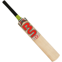 Cricket Bat File - Free PNG