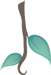 Liana Leafs Plant - Free Vector Graphic On Pixabay Lianas Clipart Png