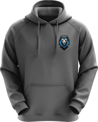 Frost Icon Hoodie - Grey Hoodie Png