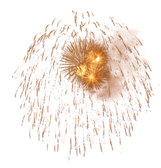 Fireworks Image Collections Best Png Transparent Background - Dandelion