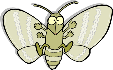 Download Moth Png Picture - Moth Cartoon Png