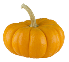 Real Pumpkin Transparent Background - Free PNG