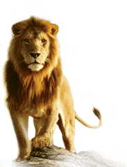 Download Lion Png Transparent Images - Transparent Background Lion Png