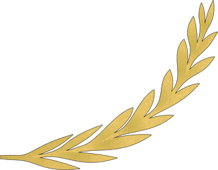 Plant Flower Leaf Png Clipart - Gold Olive Branch Transparent Background