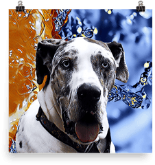 Download Hd Great Dane Poster Transparent Png Image - Great Dane