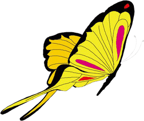 Animated Butterfly Png Picture - Butterfly Png Animation