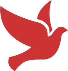 Persian Red Bird 2 Icon - Blue Bird Icon Transparent Png