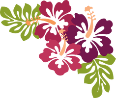 Images Hawaiian Luau HQ Image Free - Free PNG