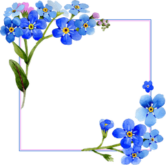 Download Hd Flower Frame Png Blue - Watercolor Blue Flower Background