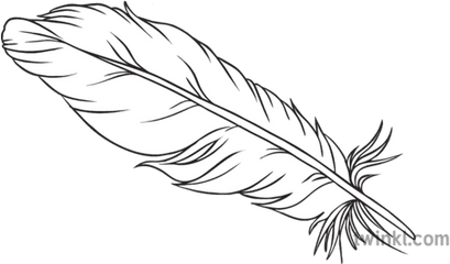 White Feather History Wwi Symbolism Secondary Black And - Clipart Black And White Feather Png