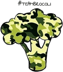 Teambrocoli - Playeras Que Usa Hotspanish Png