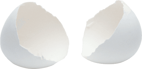 Transparent Cracked Egg Hd - Broken Egg Shell Png