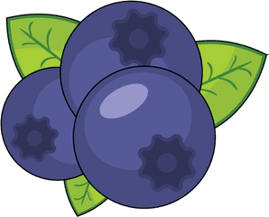 Blueberries Smoothie - Blueberry Clipart Png