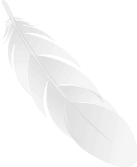 Feather Black Icon Png Image Images Download - Solid