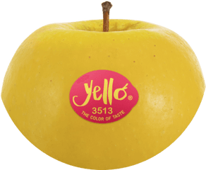 Shinano Gold Yello - Granny Smith Png