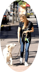 April 2020 Updates From Shelby Semel Dog Training U2014 - Martingale Png