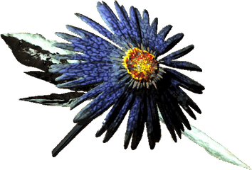 Aster - Sunflowers Png