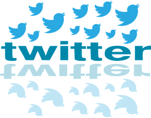 Does The Ratio Of Twitter Followers To Following Matter - Twitter Birds Png Transparent