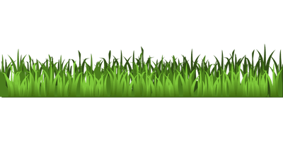 Field Grass Agriculture Free HD Image - Free PNG