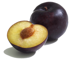 Plum Transparent - Free PNG