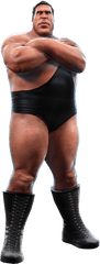 Renders U0026 Superstar Models - Wwe All Stars Images Andre The Giant Png